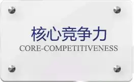核心竞争力